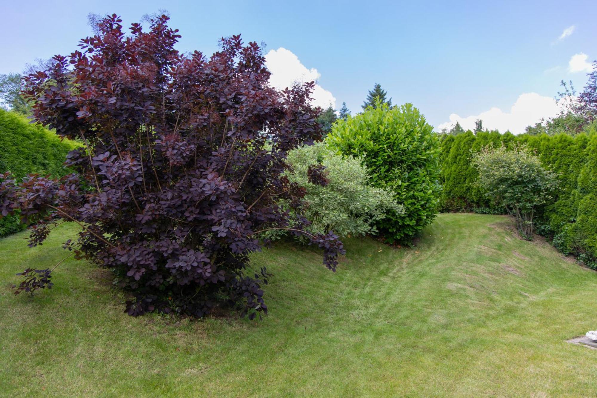 Ferienhaus Moselhoehe -Neu- ทราเบิน-ทราร์บาค ภายนอก รูปภาพ