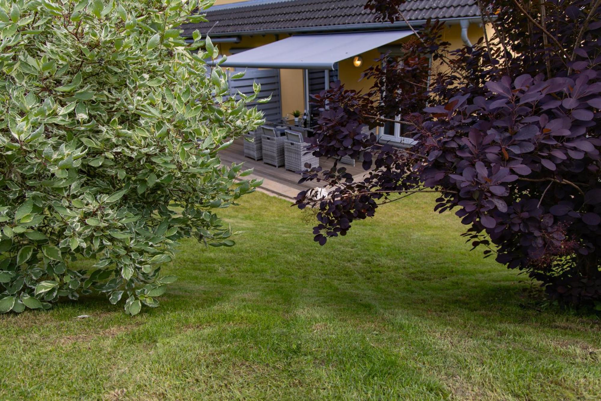 Ferienhaus Moselhoehe -Neu- ทราเบิน-ทราร์บาค ภายนอก รูปภาพ